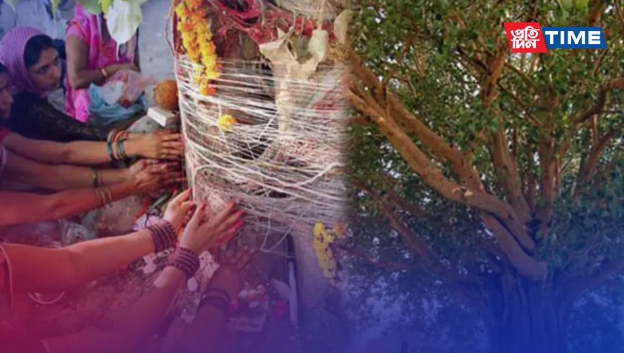 Peepal tree worship and its importance