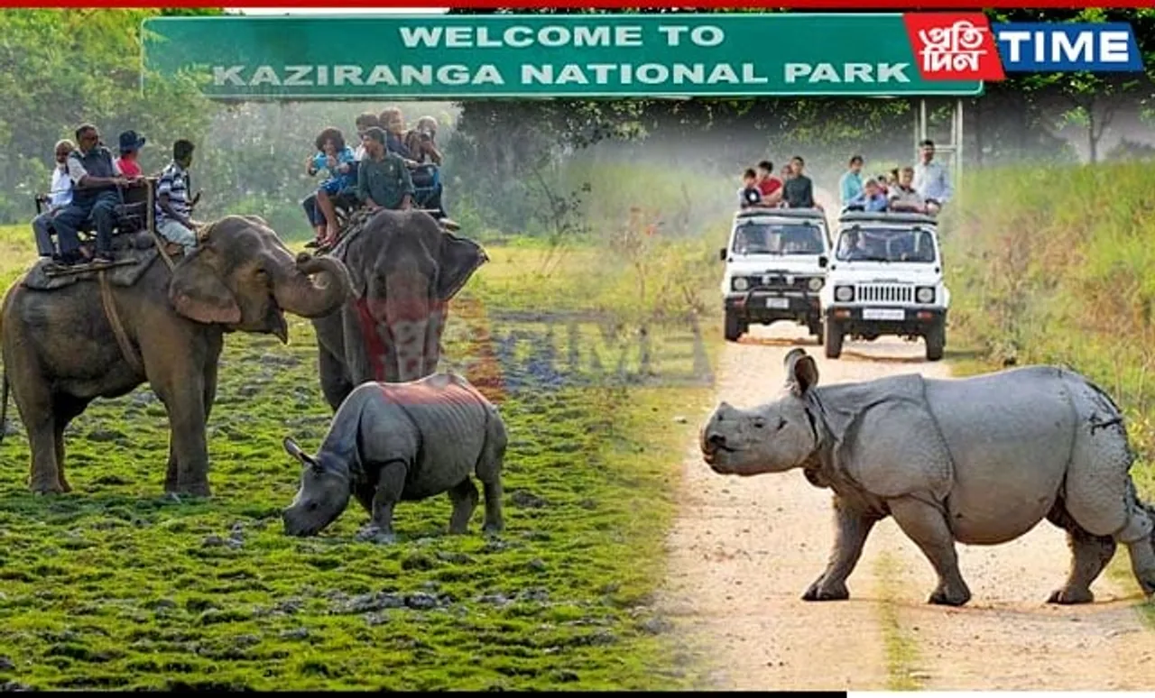 Kaziranga National Park to Reopen for Tourists on October 1