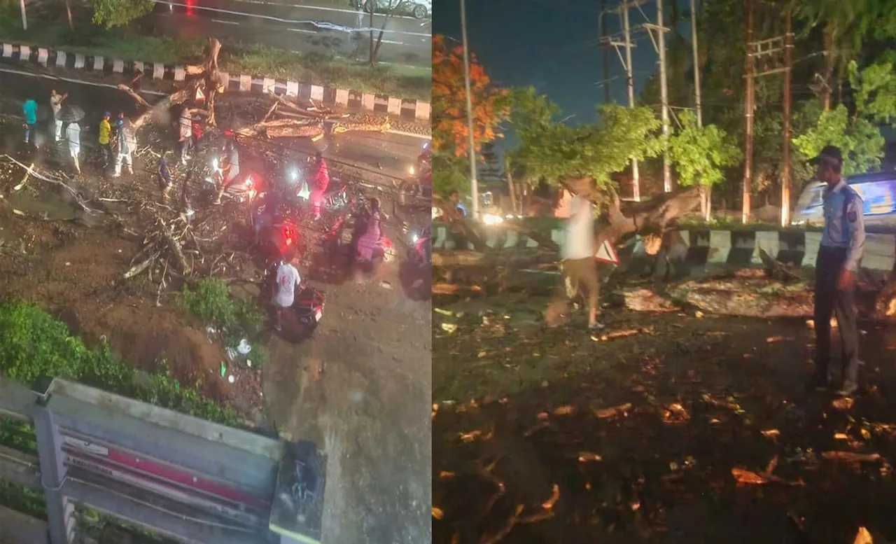 Biker Injured as Giant Tree Collapses in Guwahati’s VIP Road