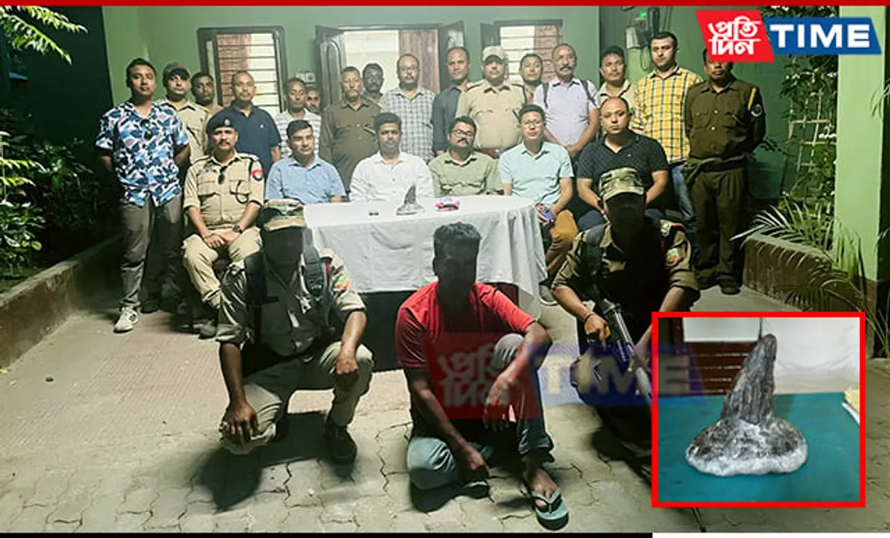 Assam Police Apprehend Poacher in Sonitpur, Recover Rhino Horn
