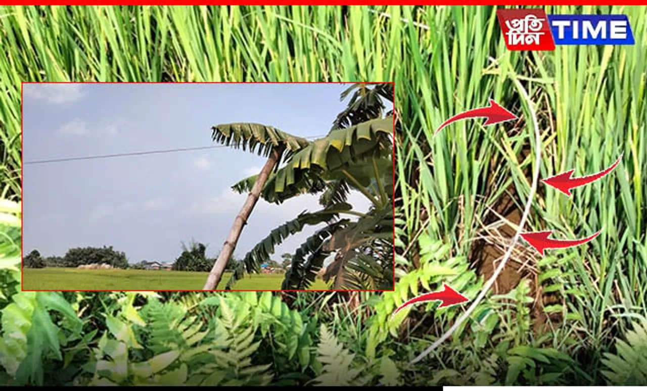 Assam: Mother-Son Duo Electrocuted to Death in Orang