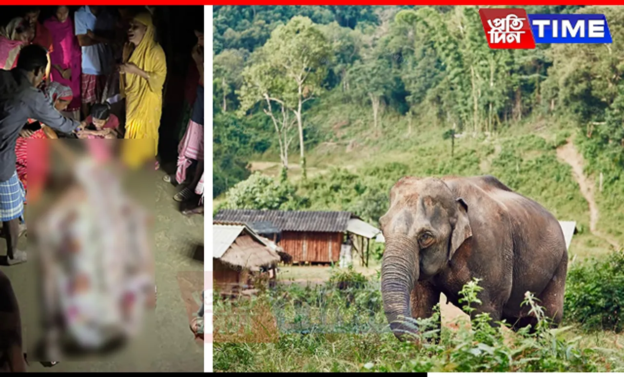 Assam: Woman Killed, Child Injured in Elephant Attack in Goalpara