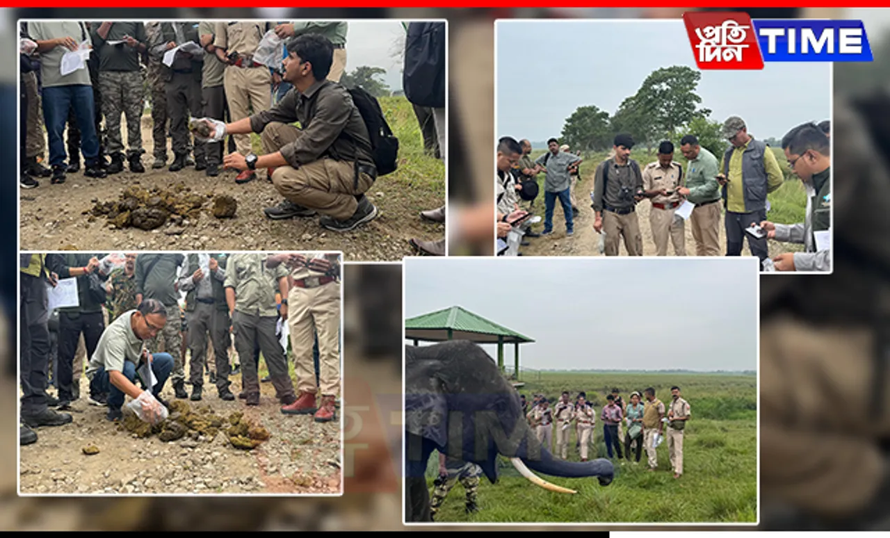 Over 70 Forest Personnel Trained for Elephant Population Monitoring in Kaziranga