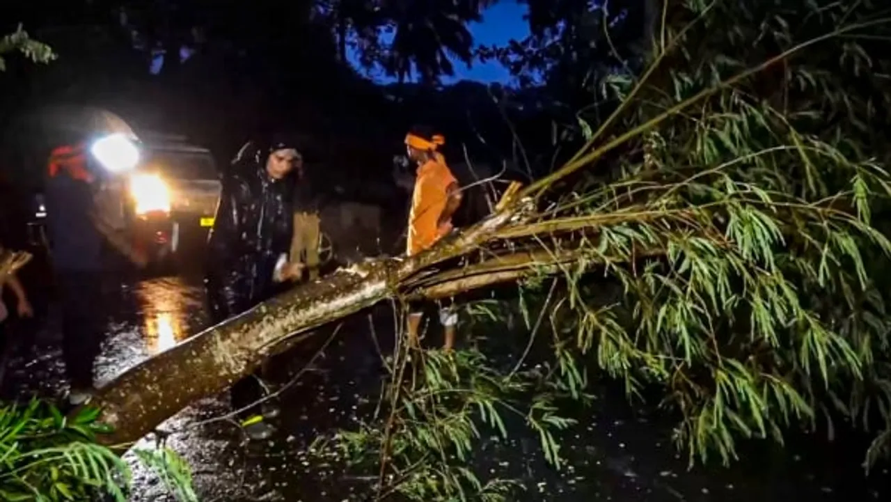 Cyclone Dana Makes Landfall in Odisha: Trees Uprooted, Roads Blocked