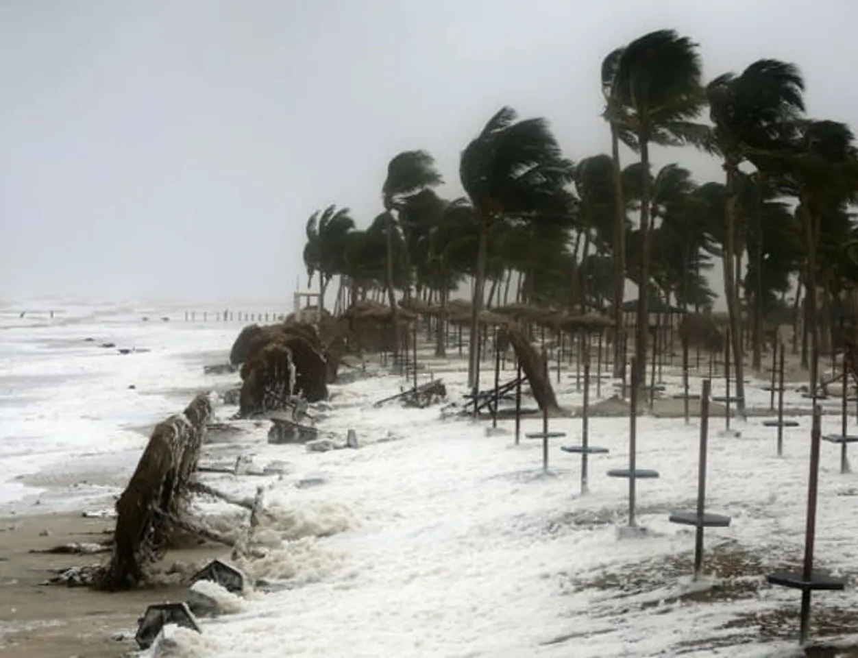 Cyclone Gaja to hit coastal Tamil Nadu tonight