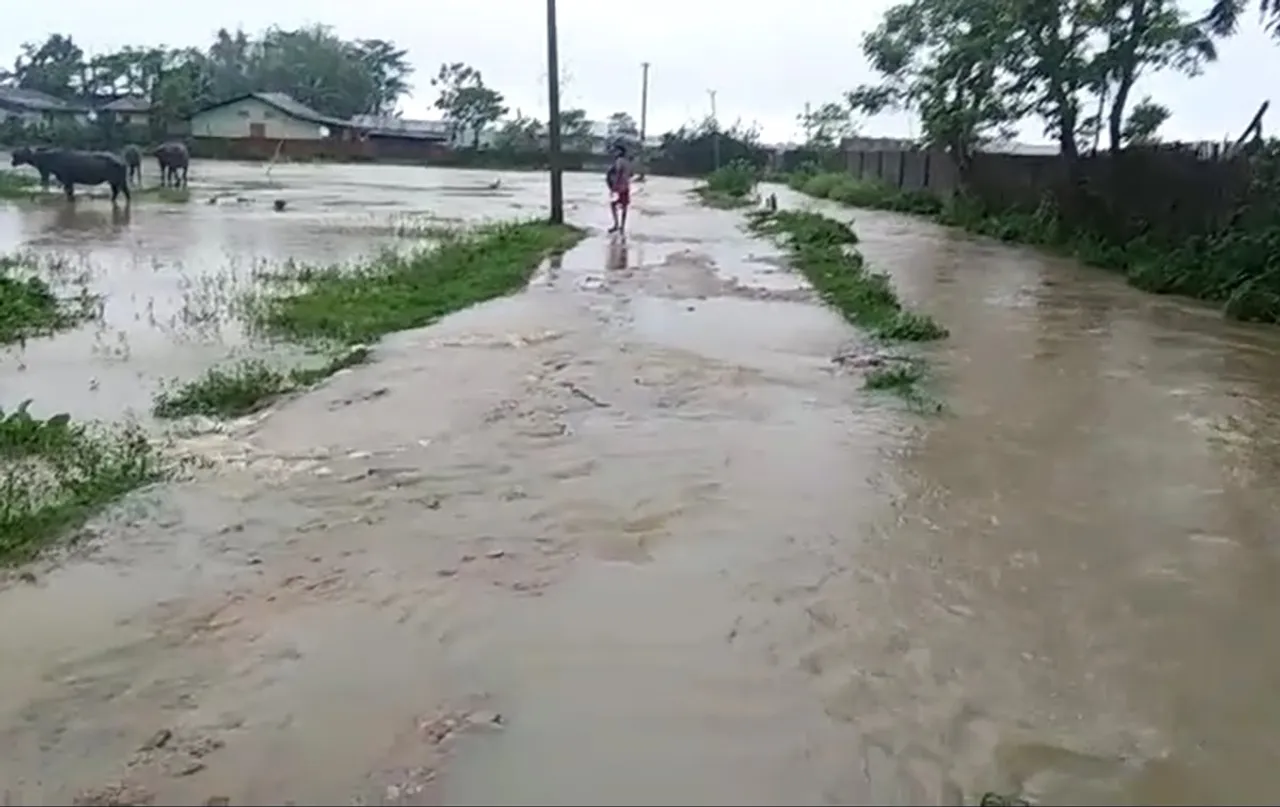 Heavy incessant rains leads to artificial flood in Numaligarh