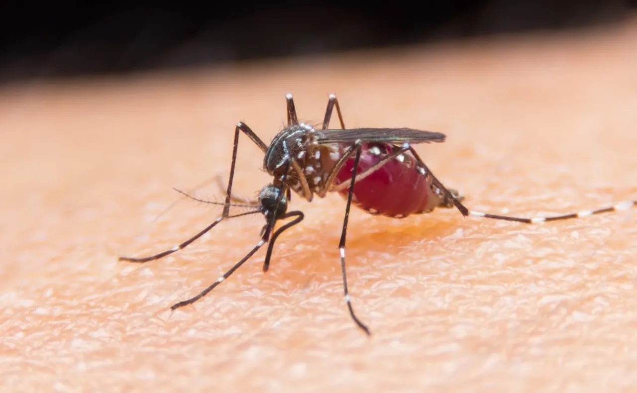 Meghalaya To Eliminate Malaria by 2030