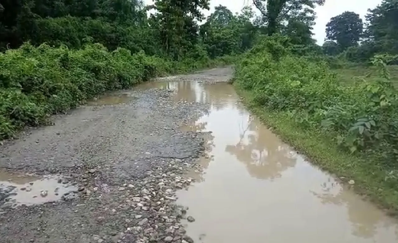 Assam: Villagers Decry Dilapidated Road Condition