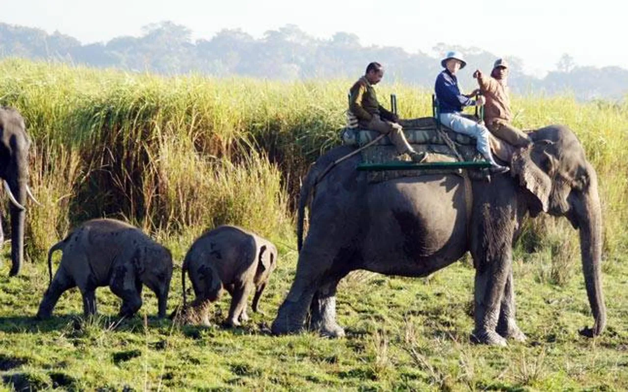 Kaziranga reopens today