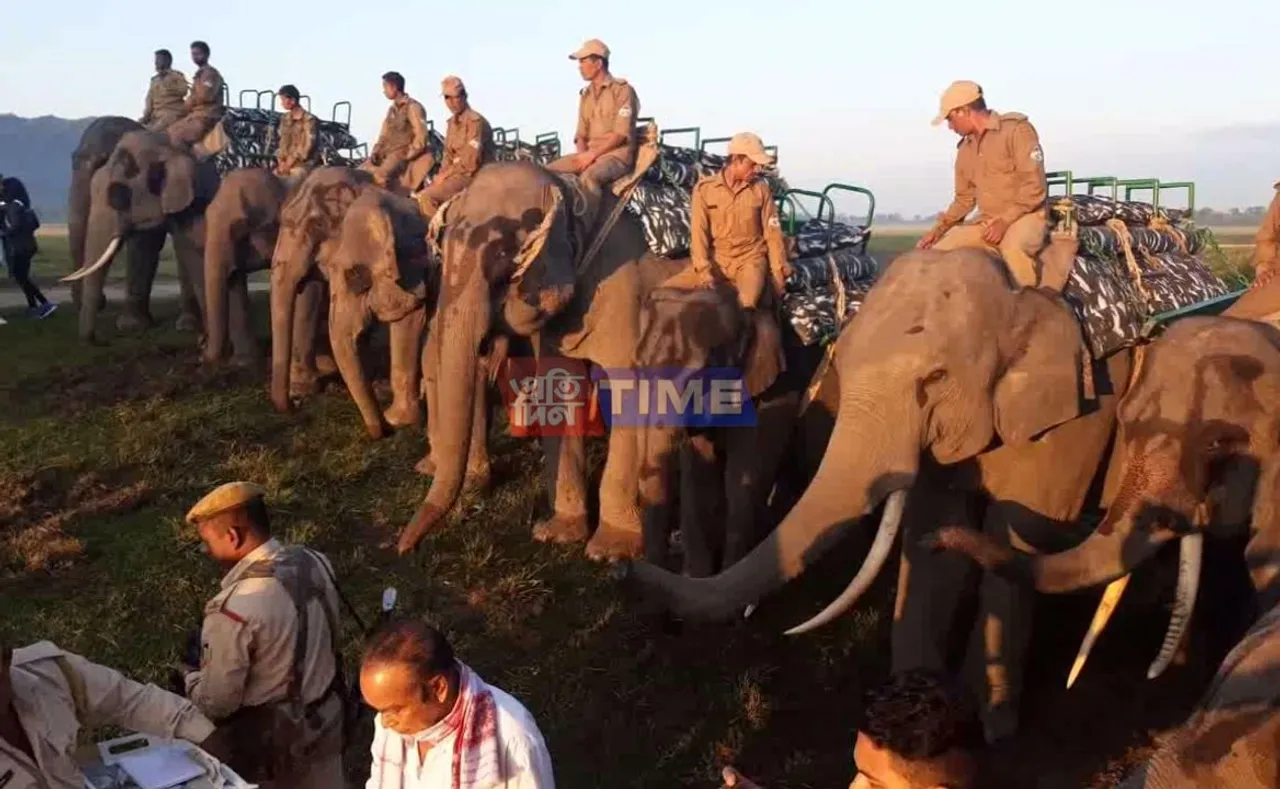 Elephant Safari in Kaziranga to Resume from Nov 1