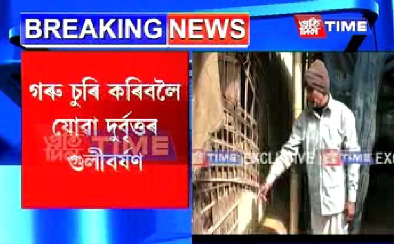 3 injured as cattle smugglers open fire at West Karbi Anglong