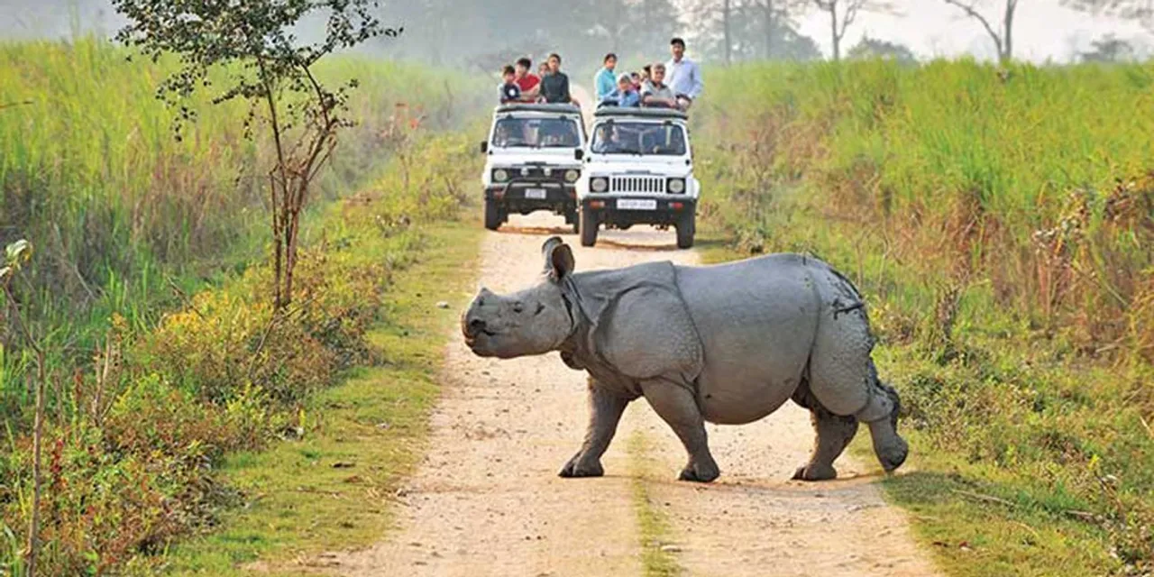 Kaziranga to Remain Closed on Feb 26 & 27 Amid President’s Visit