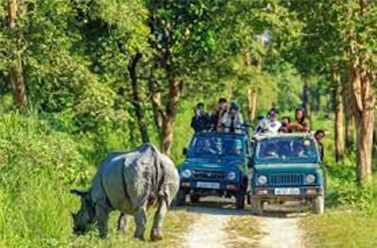 Large Numbers of Tourist Flock to Kaziranga Amid Pandemic