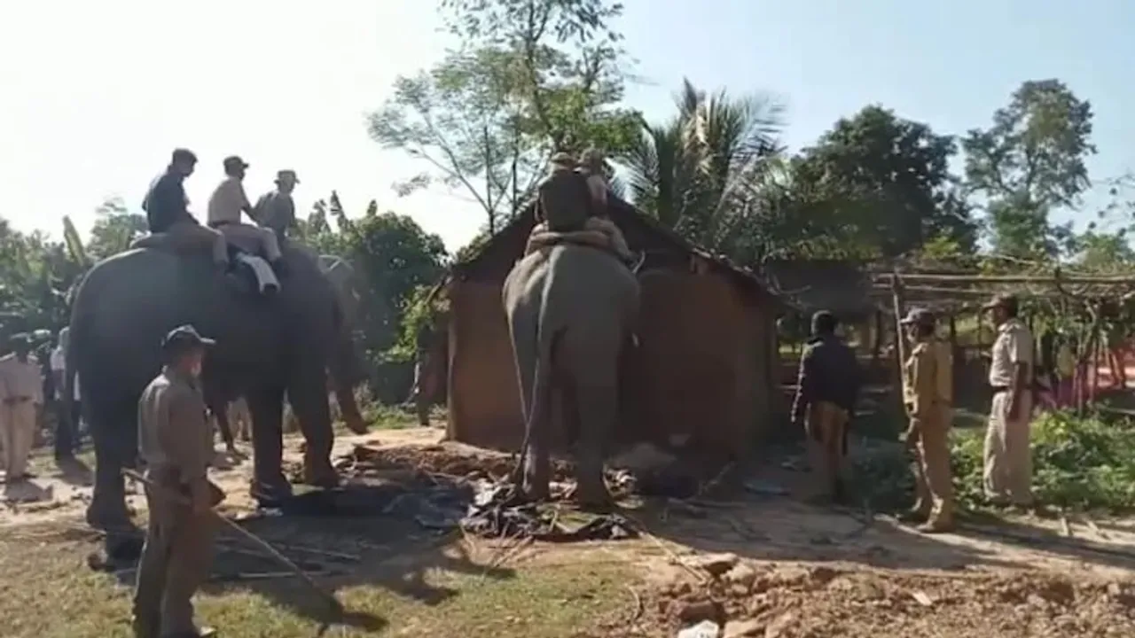 Assam: Eviction Drive Carried Out In Lumding Reserve Forest
