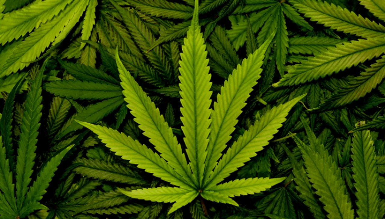 10 Kg Cannabis Seized From Agartala – Bengaluru Humsafar Express