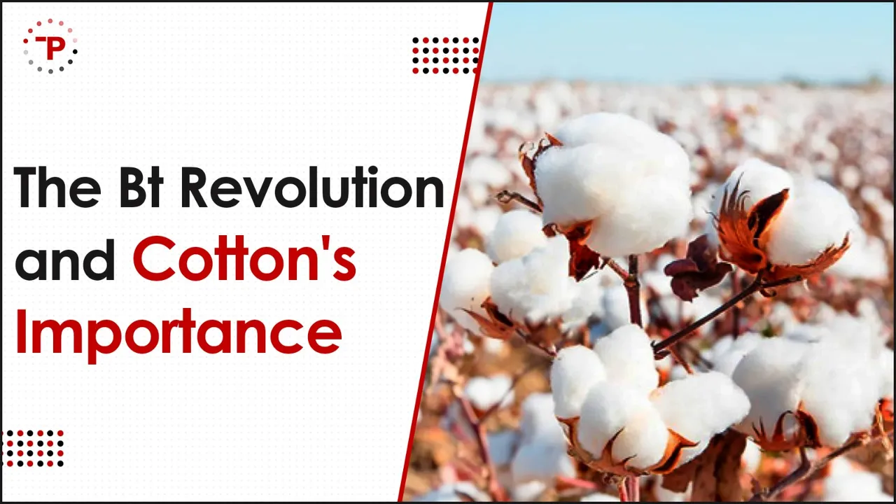 Cotton Industry.jpg