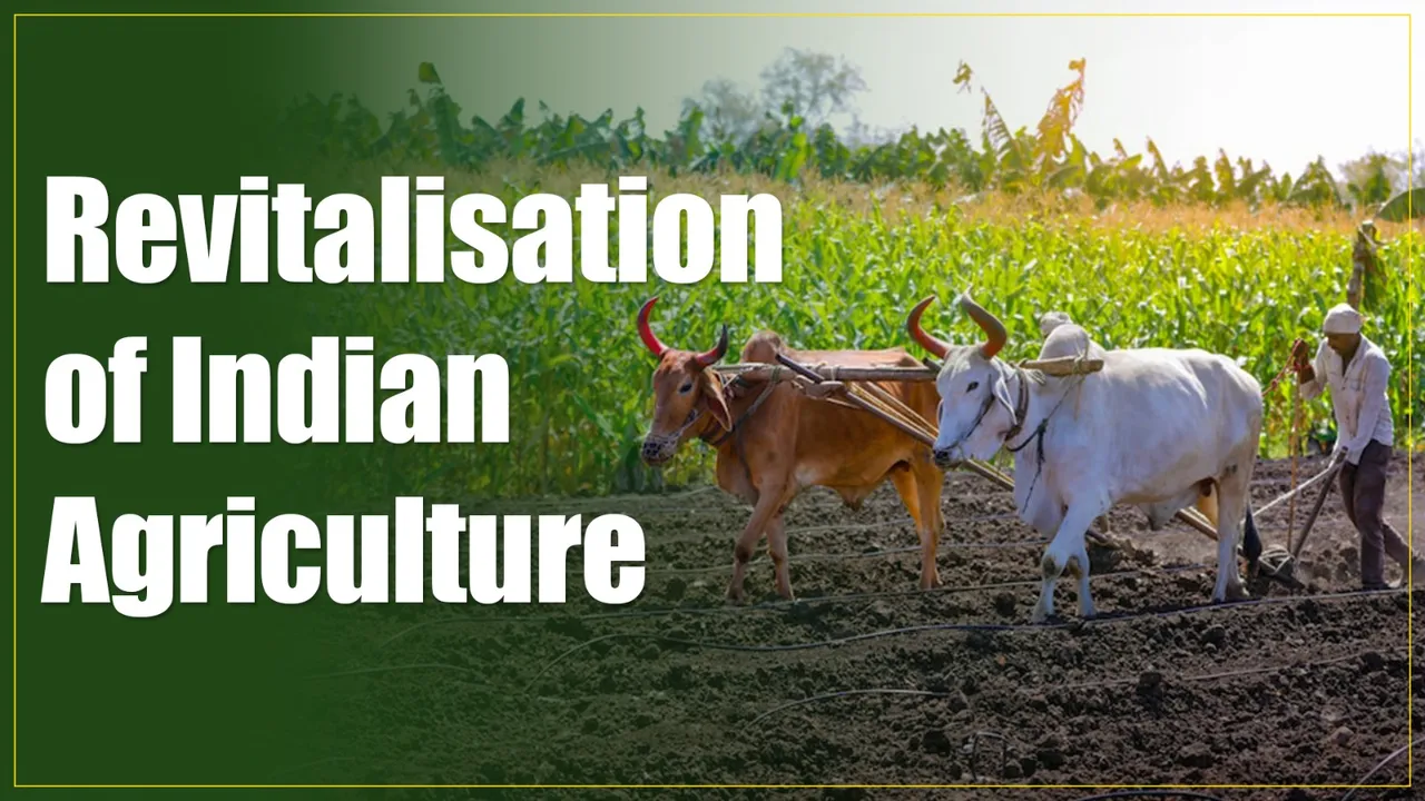 Policy Options to Revitalize Indian Agriculture and Empower Farmers