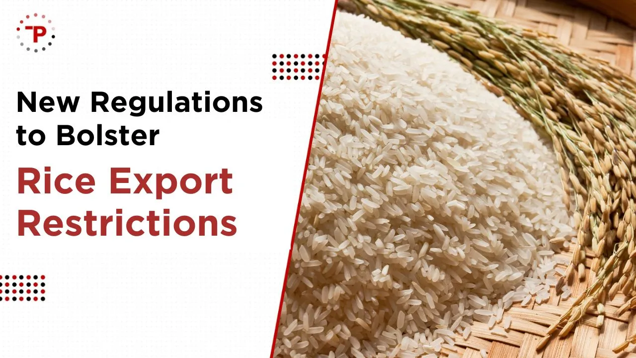 Basmati Rice Export.jpg