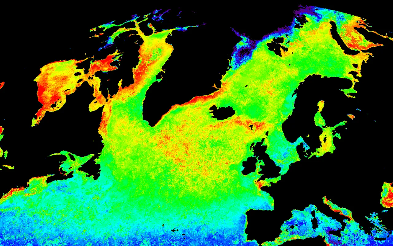 Ocean temperatures above average this summer from Nova Scotia to northern Newfoundland