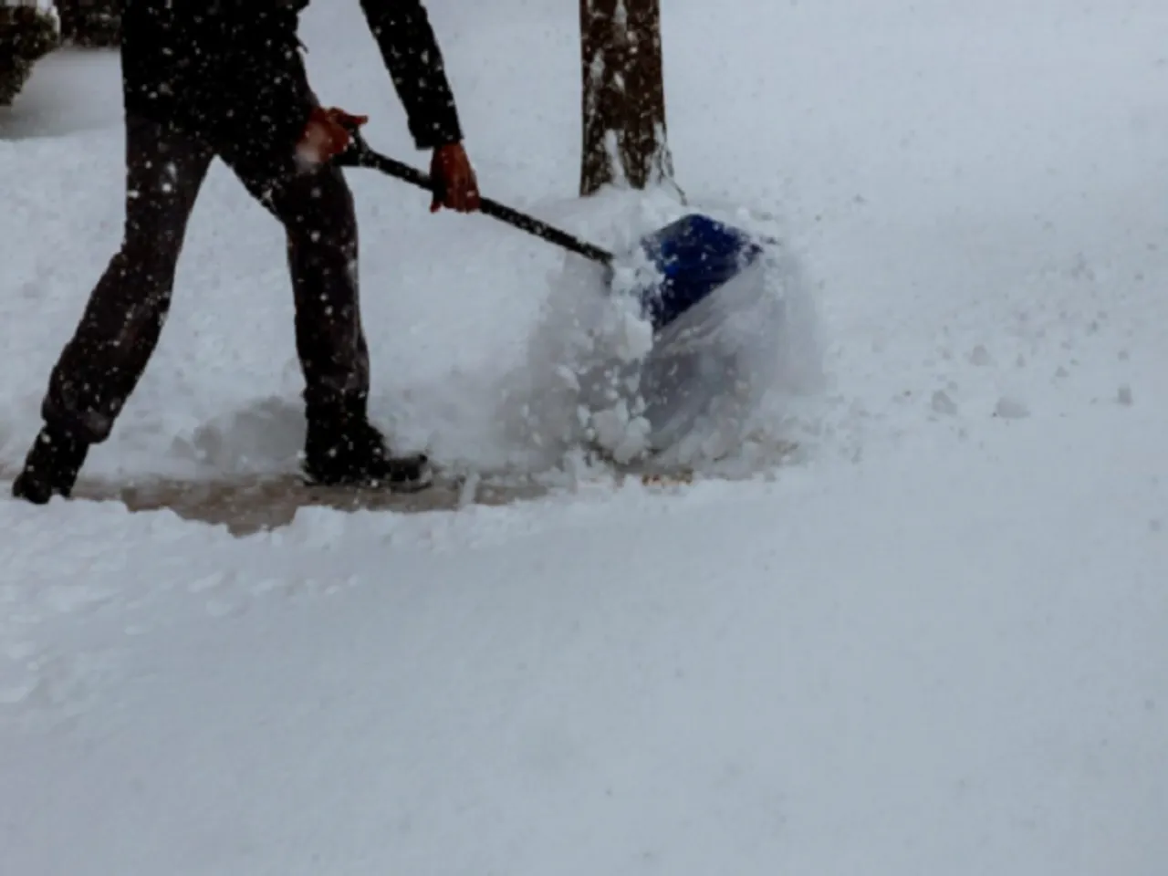 Environment Canada warns 5-10 cm of snow, extreme cold  in GTA