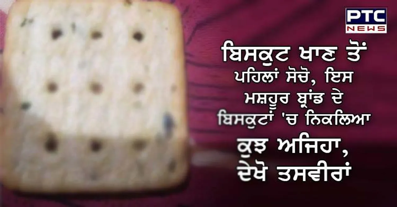 insect in biscuit india punjab