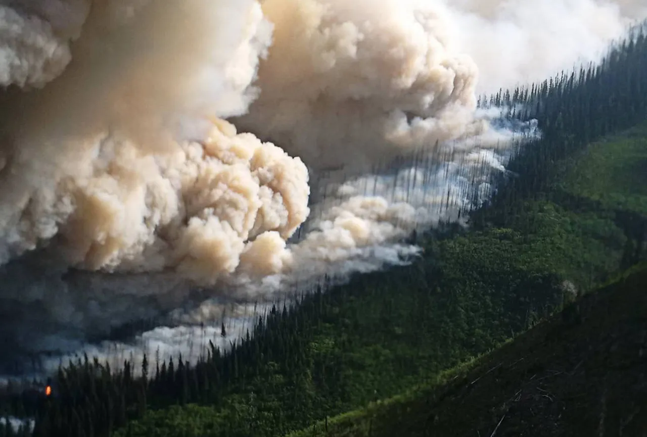 One of B.C.’s most threatening wildfires, Shovel Lake, now being held