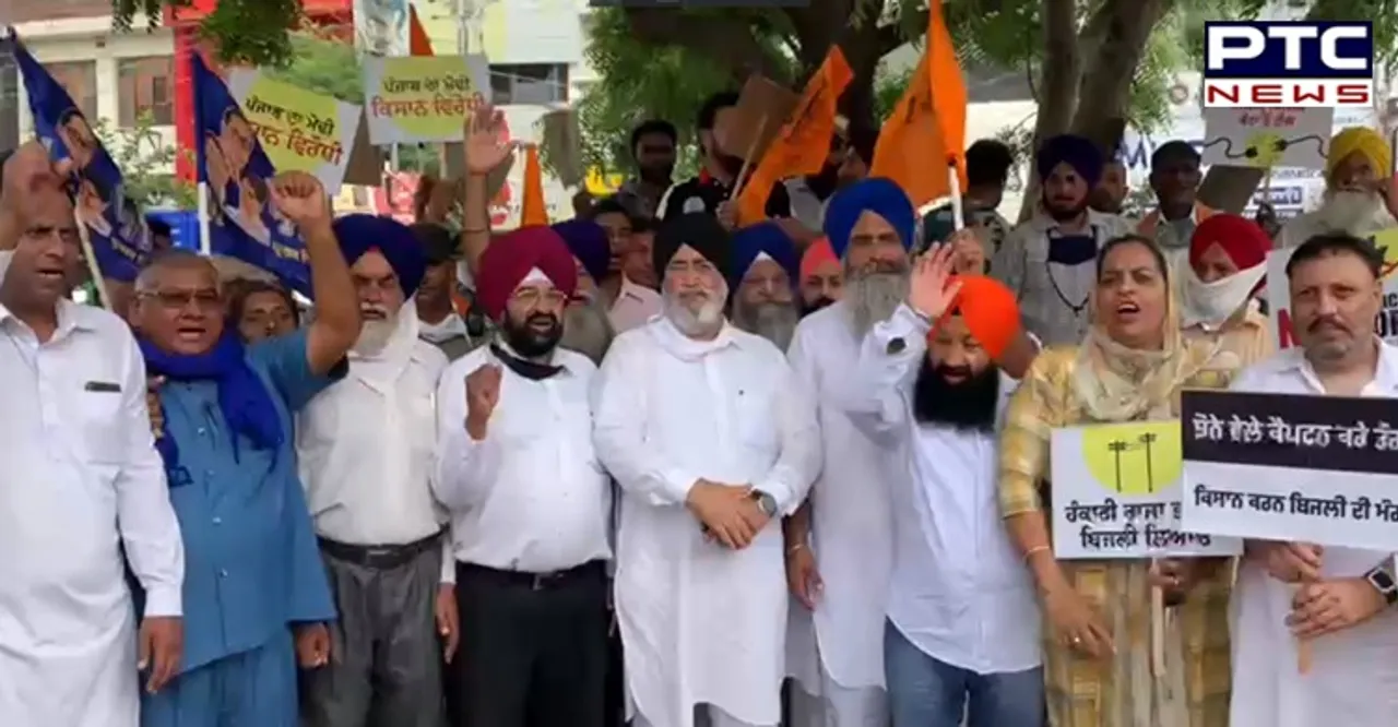 Electricity Crisis: SAD-BSP hold protest against Punjab govt using hand fans