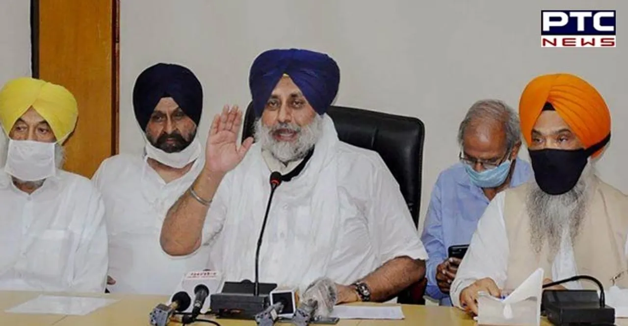 Punjab: SAD chief Sukhbir Badal forms 12-member panel for party overhaul