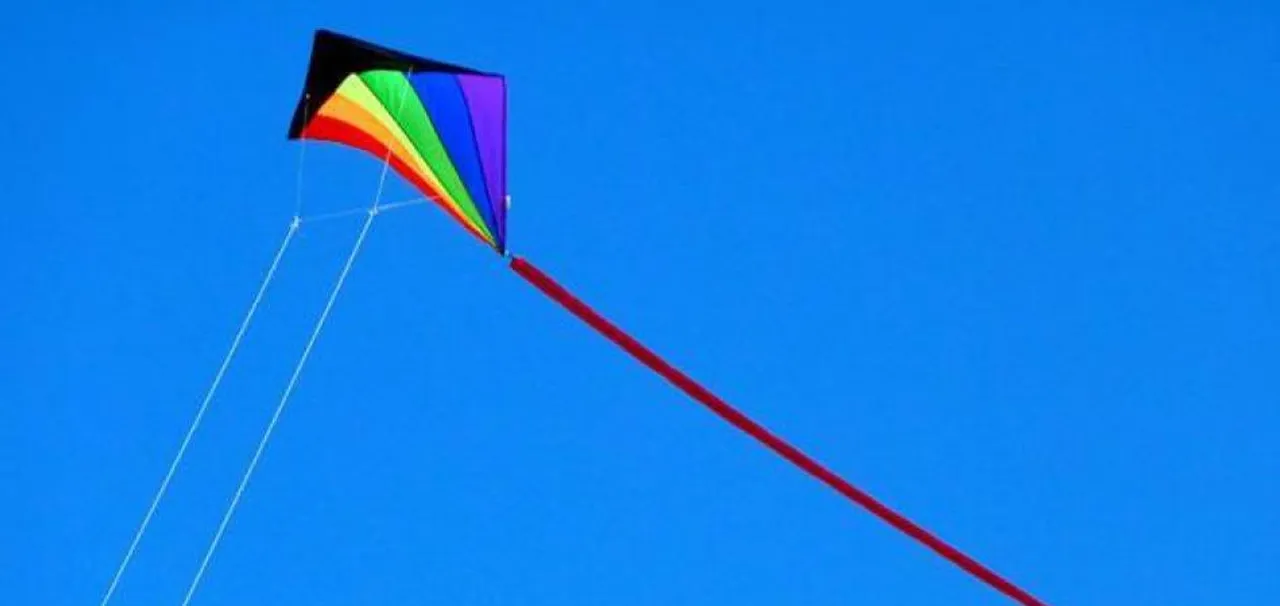 3 Dead After Kite Strings Slit Throats In Gujarat's Uttarayan Festival