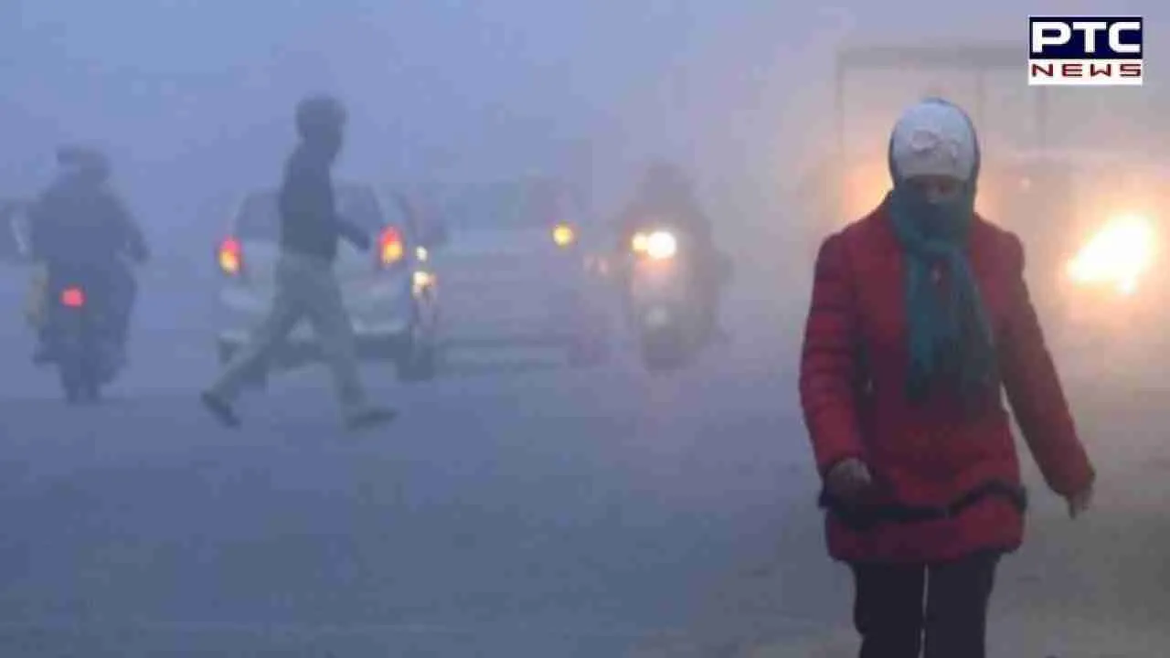 Weather Update: Punjab feels the chill; fog affects visibility across northern region