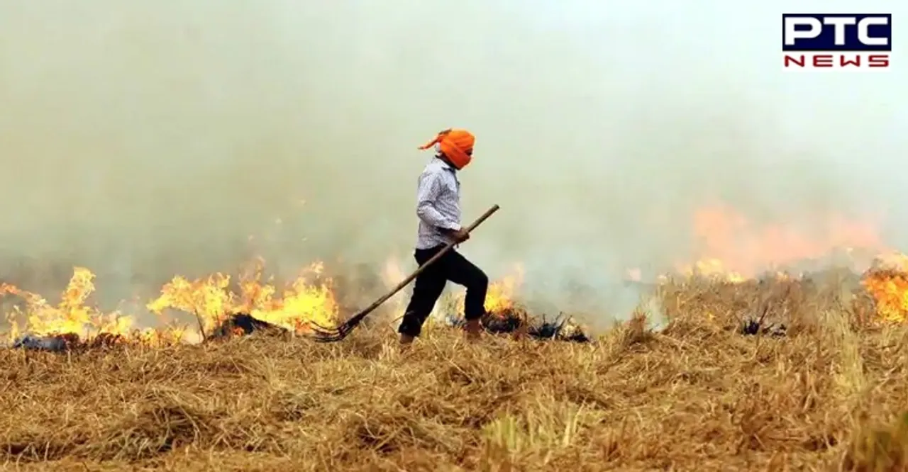 Stubble burning in Punjab not responsible for rising pollution in Delhi: PAU
