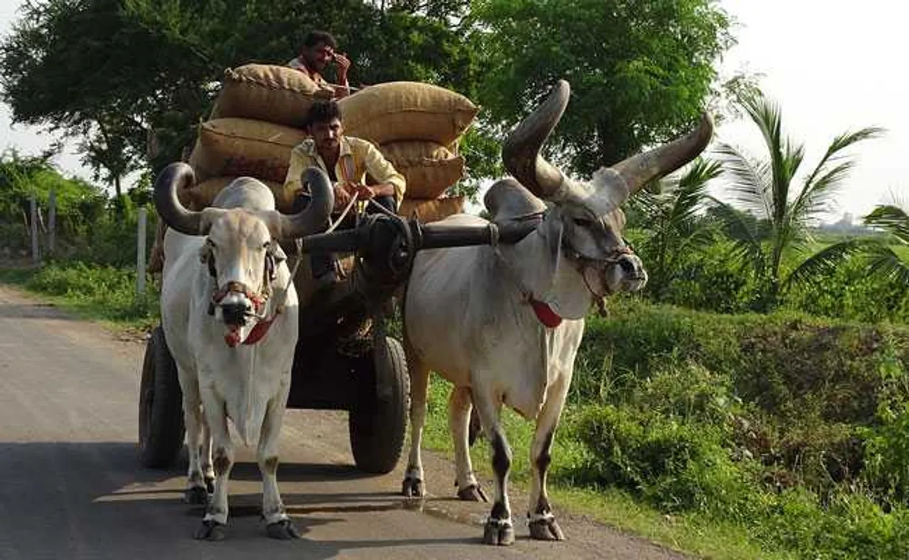 Uttarakhand High Court  declares animals to be "legal person or entity"