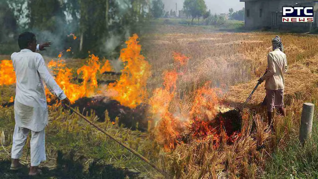 Stubble Burning: ਪੰਜਾਬ 'ਚ ਪਰਾਲੀ ਸਾੜਨ 'ਤੇ ਕਿਸਾਨਾਂ ਤੋਂ ਵਸੂਲੇ ਗਏ 1 ਕਰੋੜ ਰੁਪਏ, SC ਨੇ 2 ਮਹੀਨਿਆਂ 'ਚ ਮੰਗੀ ਰਿਪੋਰਟ