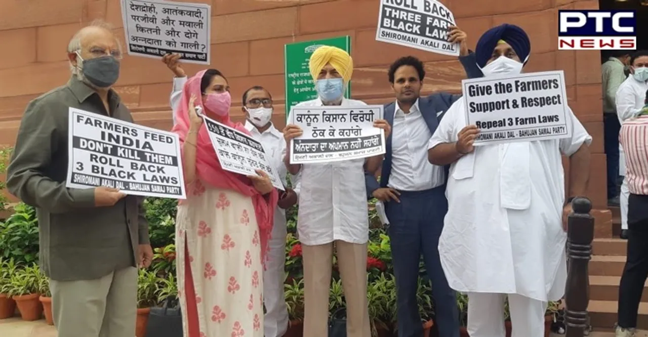 SAD-BSP MPs continue to protest against farm laws outside Parliament