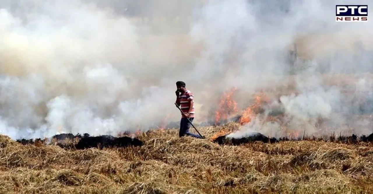 Air Pollution: Yet to be paid relief, Punjab farmers continue to burn stubble