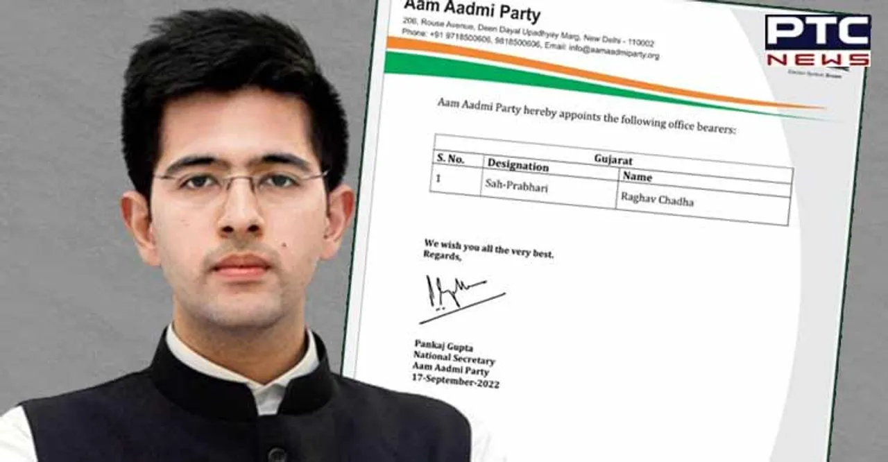 After big win in Punjab polls, AAP appoints Raghav Chadha as Gujarat co-incharge