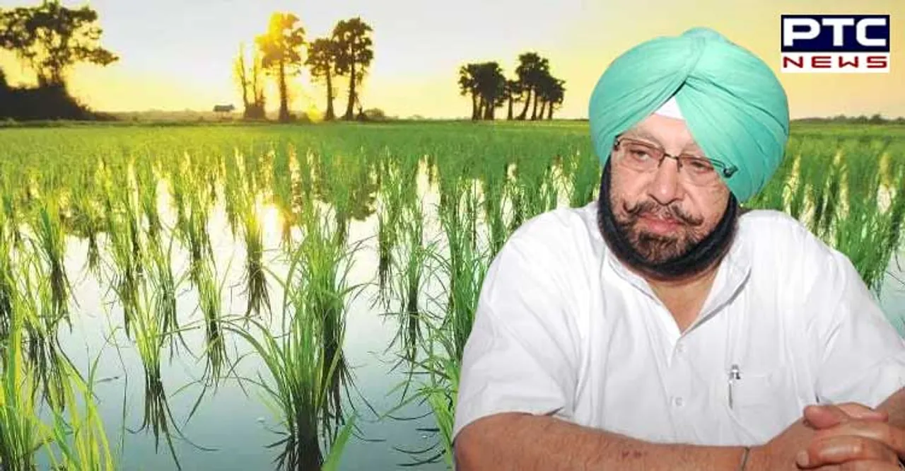 Punjab CM Captain Amarinder announces Early Sowing Of Paddy