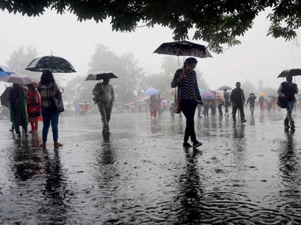 North India likely to experience rains due to western disturbance: IMD