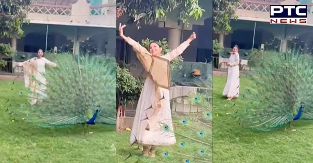 Shehnaaz Gill spreads happiness with her cute dance with peacock