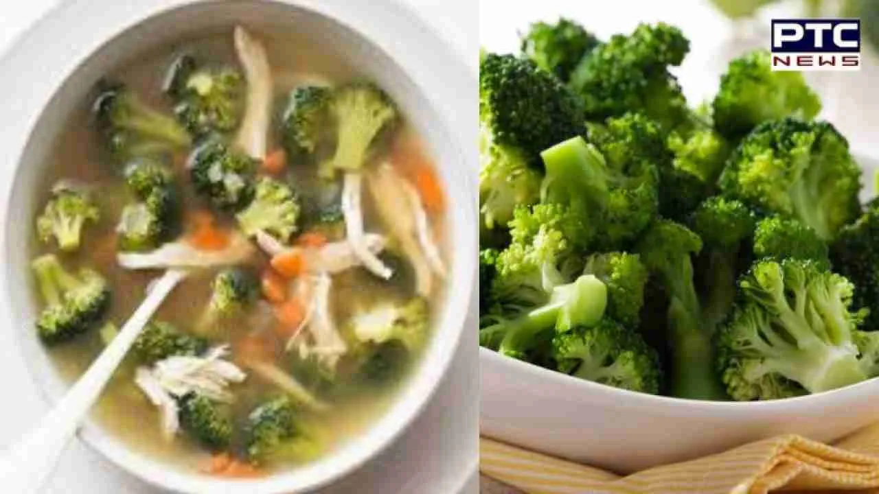 Broccoli Soup Benefits: ਸੁਆਦ ਦੇ ਨਾਲ-ਨਾਲ ਸਿਹਤ ਲਈ ਖਜ਼ਾਨਾ ਇਸ ਸਬਜ਼ੀ ਦਾ ਸੂਪ