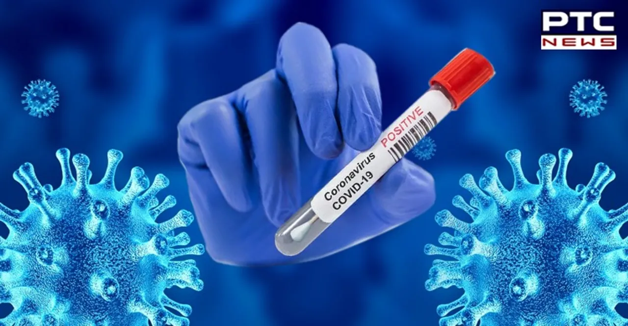Coronavirus Update: India records 50,209 new COVID-19 cases; caseload nears 84 lakh