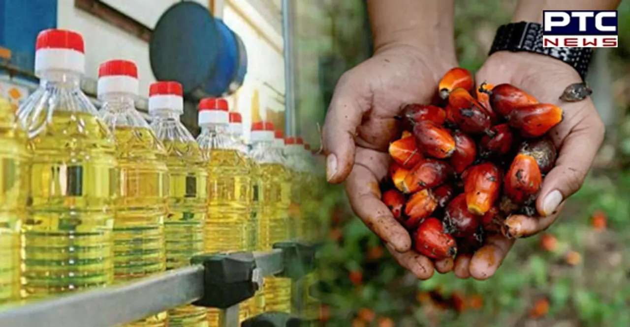 Indonesia to lift ban on palm oil exports from May 23