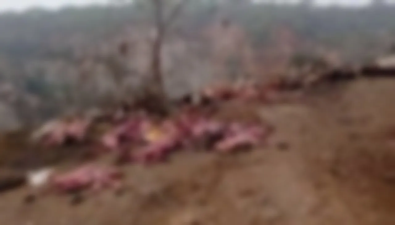 फरीदाबाद में अरावली की पहाड़ियों पर मिले गाय और जानवरों के अवशेष, 1 किलोमीटर तक फैला था खून और मांस के लोथड़े