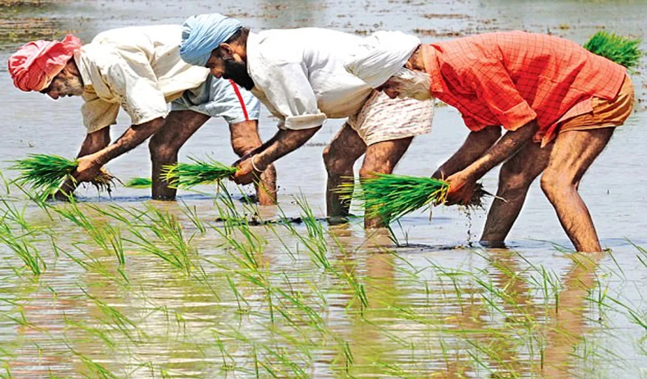 ਮੀਂਹ ਨਾਲ ਕਿਸਾਨਾਂ ਦੇ ਚਿਹਰੇ ਖਿੜੇ , ਮੌਸਮ ਹੋਇਆ ਠੰਡਾ