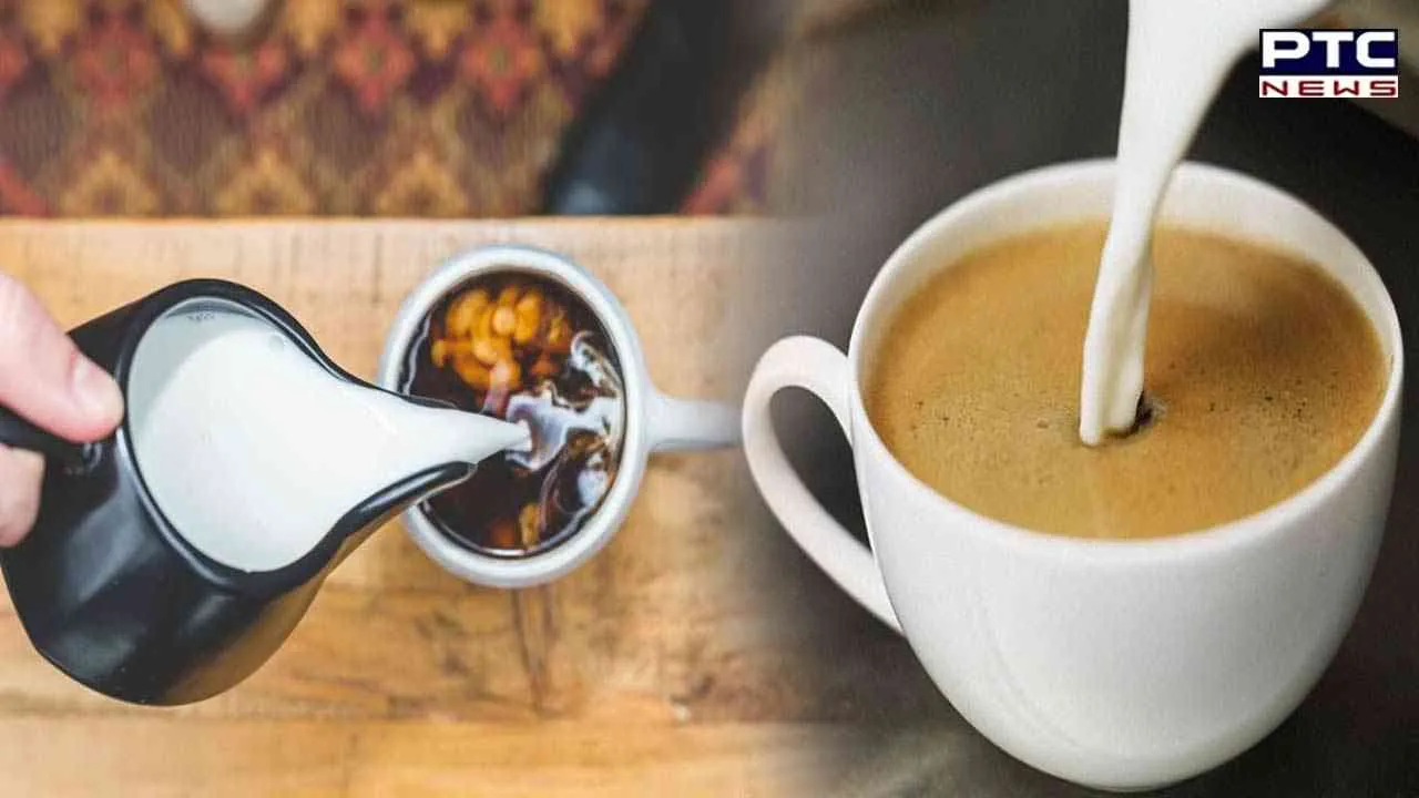 Can coffee with milk have anti-inflammatory effect on humans?