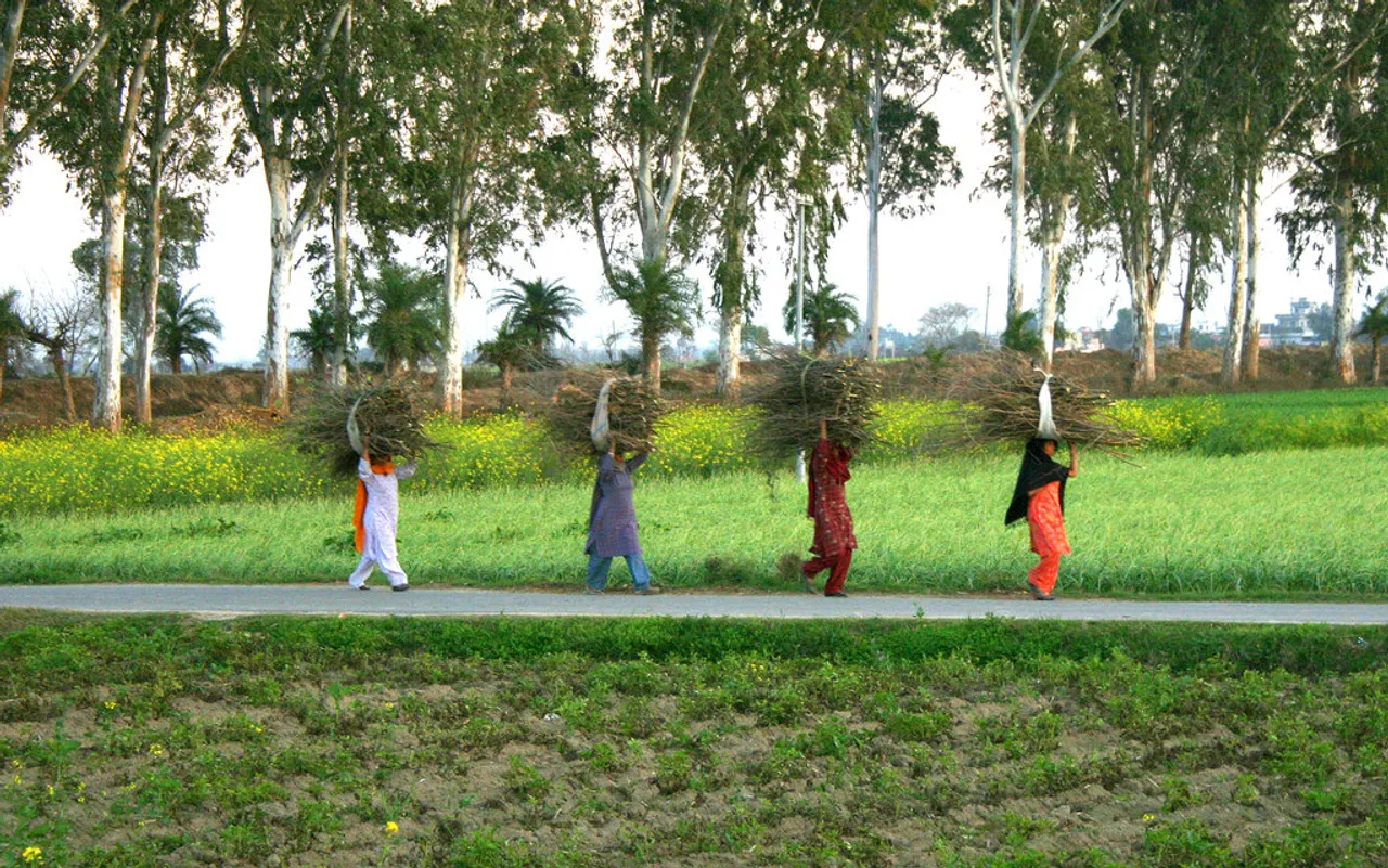 Minimum temperature hovers above normal in Punjab, Haryana