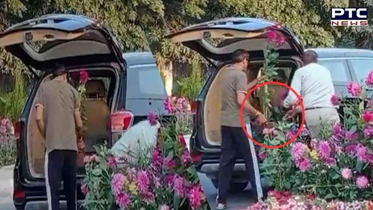 Viral: Men in luxury car with VIP licence plate steal flower pots set up for G20 event