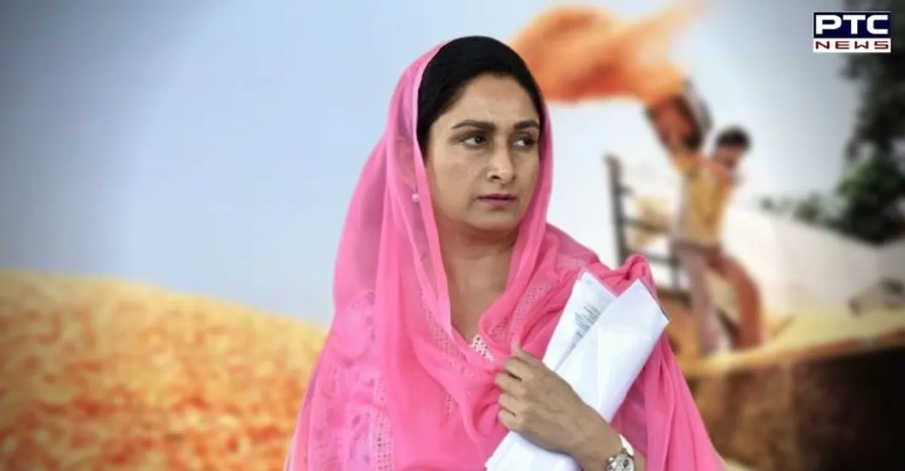 Central govt wants to end assured govt procurement on MSP: Harsimrat Kaur Badal