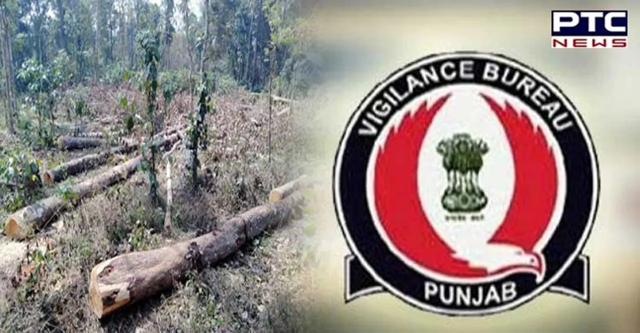 Following ‘scam’ in Punjab Forest Dept, now journalist of TV and print media on Vigilance radar