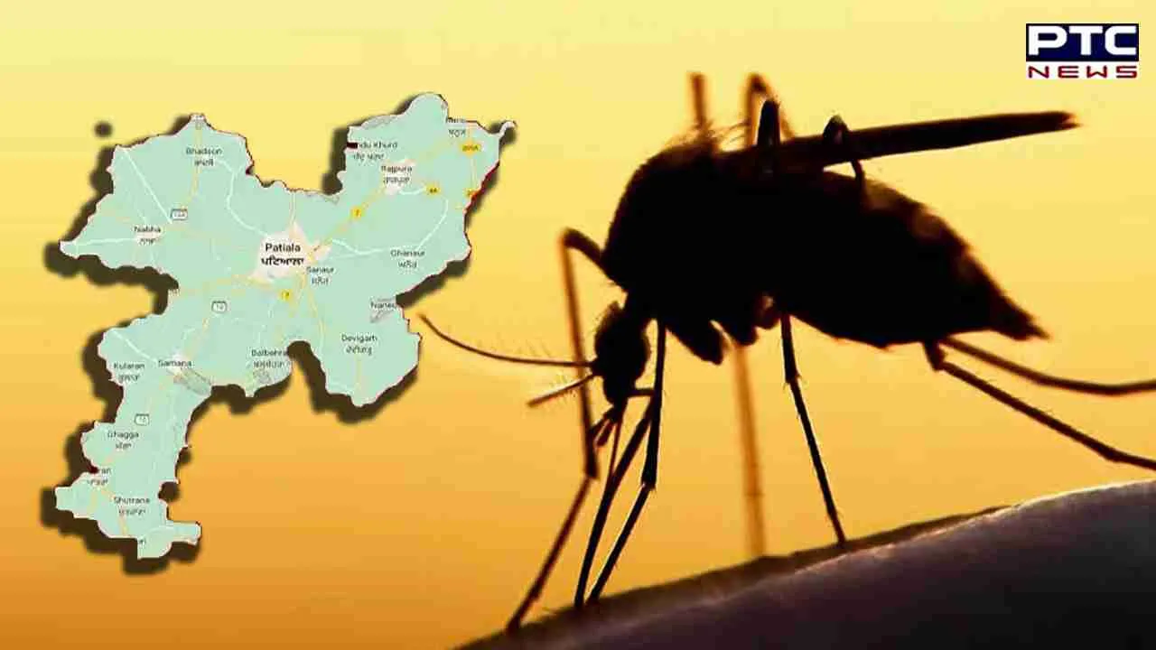 Dengue in Patiala: ਪਟਿਆਲਾ ’ਚ ਡੇਂਗੂ ਦਾ ਕਹਿਰ; 24 ਘੰਟਿਆਂ ’ਚ ਹੋਈਆਂ ਦੋ ਮੌਤਾਂ, ਇੱਥੇ ਪੜ੍ਹੋ ਕਿਵੇਂ ਕਰੀਏ ਬਚਾਅ